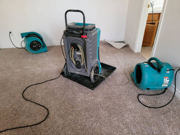  Laporte, CO Water damage restoration Pros