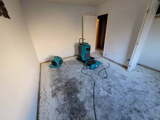Best 24-hour water damage restoration  in Laporte, CO